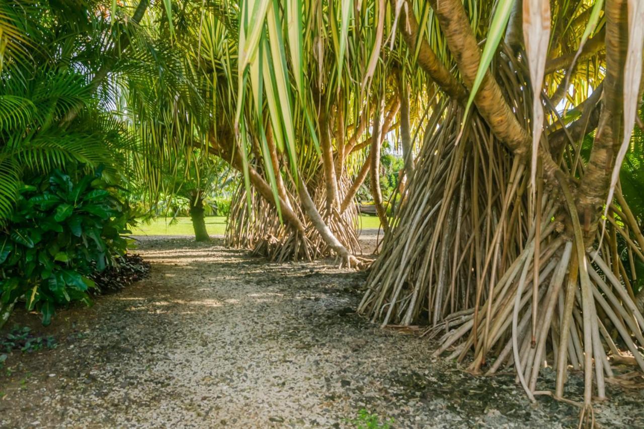 Aroha Taveuni Beachfront Bures Waiyevo Buitenkant foto